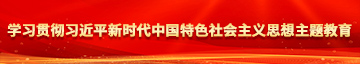 在线观看狂艹美女屄学习贯彻习近平新时代中国特色社会主义思想主题教育